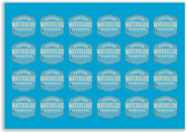 1 SHEET